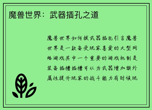魔兽世界：武器插孔之道